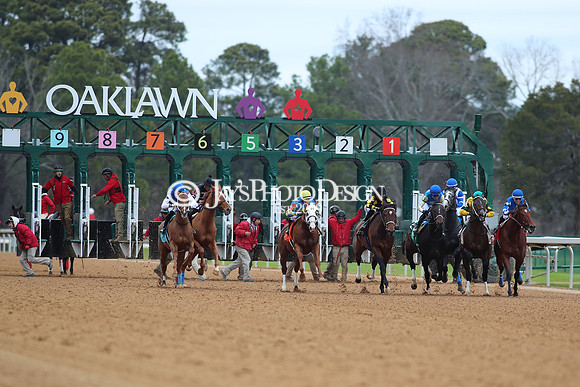z250104_SmartyJonesStakesDay _JWM_0213