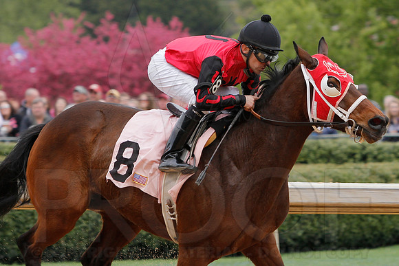Fantasy Stakes 4-5-2014 (© Justin Manning) JWM_0059