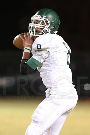 vGlen Rose @ Episcopal 11-7-2014 (©Justin Manning) JWM_198