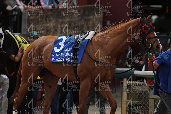 Oaklawn Mile 3-29-25_JWM_0040