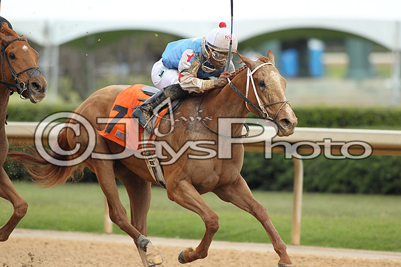 Oaklawn_0267