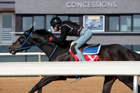 Apple Blossom Stakes Day 4-12-25_JWM_0051