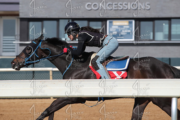 Apple Blossom Stakes Day 4-12-25_JWM_0051