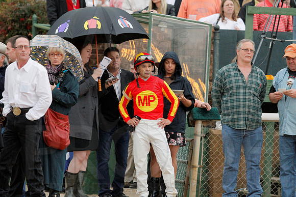 Rebel Stakes 3-15-14 3-15-2014 (© Justin Manning) JWM_0365