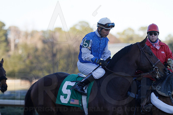 Oaklawn 1-21-13 (Smarty Jones Stakes) (Justin Manning)0167