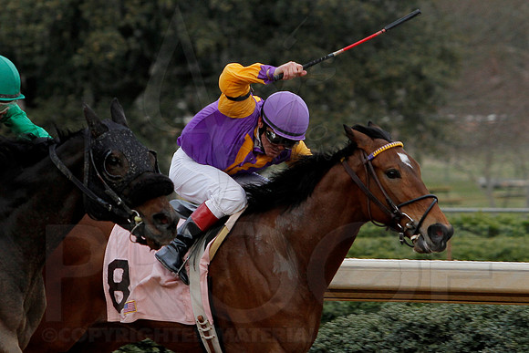 Oaklawn 8th Race 3-9-13 JWM0027 (©Justin Manning)