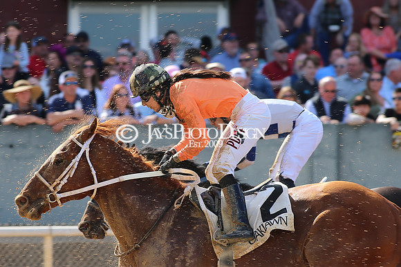 z220402_ArkansasDerbyday_Manning_JWM_1016