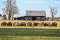 Barns 3-25-20_0038