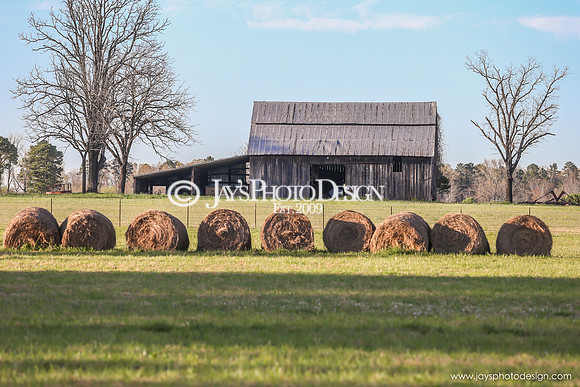 Barns 3-25-20_0038
