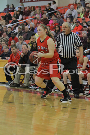 Glen Rose vs. Perryville Girls 3A District Tournament 2-20-2015 (©Justin Manning) JWM_113