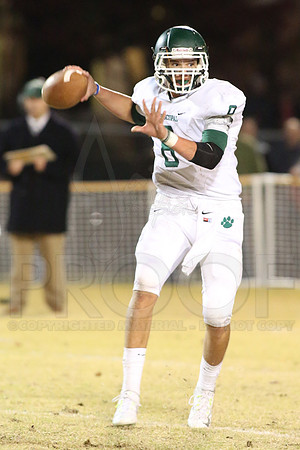vGlen Rose @ Episcopal 11-7-2014 (©Justin Manning) JWM_239