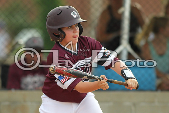 Benton vs. Clark County 6-27-16_JWM_0079