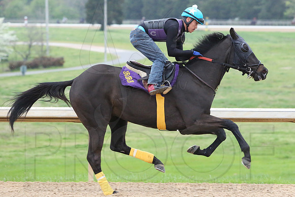 Arkansas Derby 4-11-2014 (© Justin Manning) JWM_0050