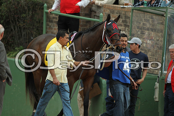 Southwest Stakes (GradeIII) 2-20-17_JWM00481