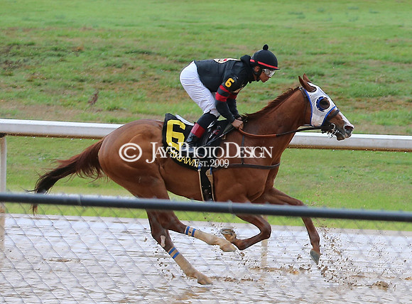 Smarty Jones Day 1-1-22_JWM_0018