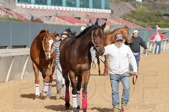 Oaklawn 1-11-13 (Justin Manning)0037