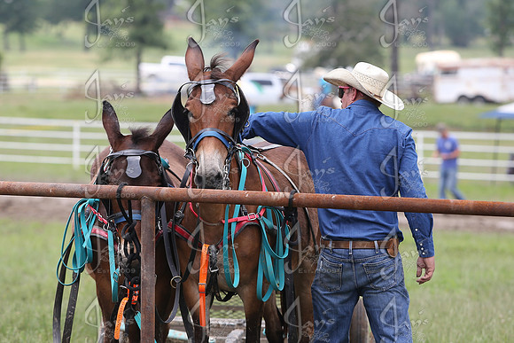 Whiskey Ridge Ranch (Chuckwagon Races) 5-25-25_JWM_1238