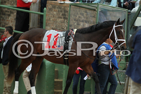 Southwest Stakes (GradeIII) 2-20-17_JWM00549