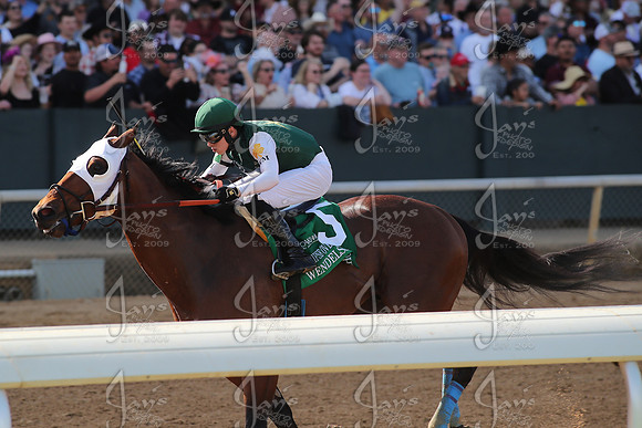 Eclipse Overnight Stakes 3-29-25_JWM_0168