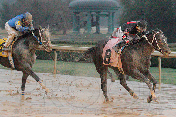 Dixie Belle Stakes 1-10-14 (©Justin Manning) JWM_0095