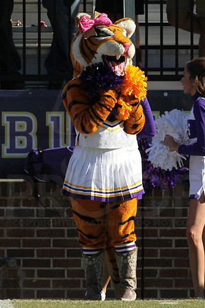 Southern Arkansas University @ Ouachita Baptist University 11-1-2014 (©Justin Manning) JWM_675