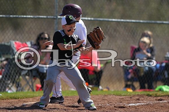 Benton Panthers vs. White Hall Dominators 2-27-16 JWM_0309