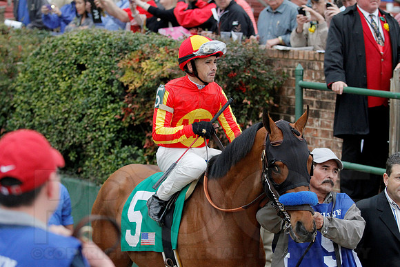 Rebel Stakes 3-15-14 3-15-2014 (© Justin Manning) JWM_0039