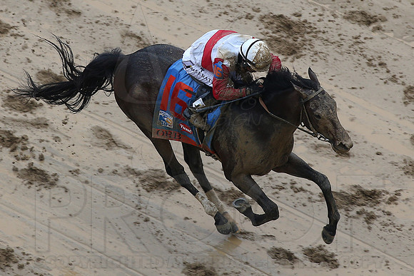 139th Running of the Kentucky Derby 2013 5-4-13 (© Justin Manning) JWM0655