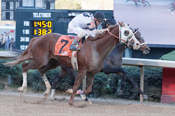 Rebel Stakes 3-16-13 JWM0212 (©Justin Manning)