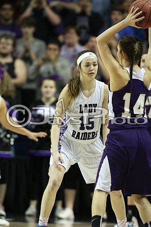 Riverview vs. Ozark 4A Girls State Finals 3-13-2015 (©Justin Manning) JWM_020