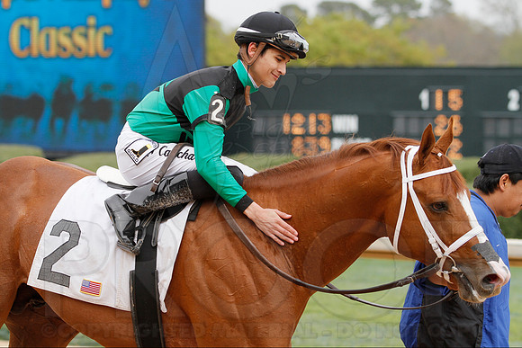 Fantasy Stakes 4-5-2014 (© Justin Manning) JWM_0246