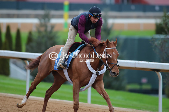 z250104_SmartyJonesStakesDay _JWM_0072