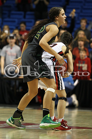 Nemo Vista vs. Wonderview 1A Girls State Finals 3-12-2015 (©Justin Manning) JWM_419
