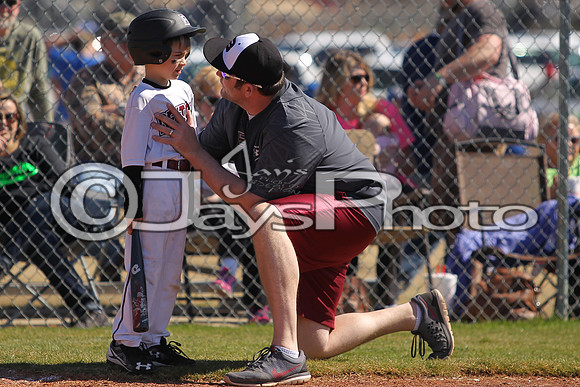 Benton Panthers vs. White Hall Dominators 2-27-16 JWM_0384