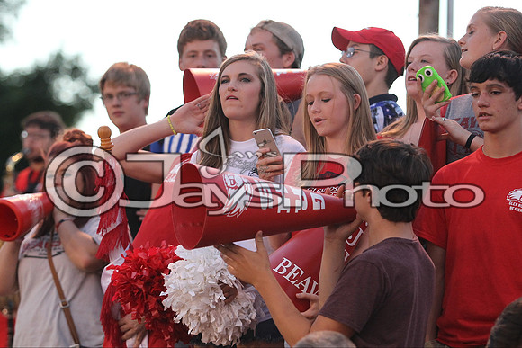 Glen Rose @ Bauxite 9-11-2015 (©Justin Manning) JWM_0347