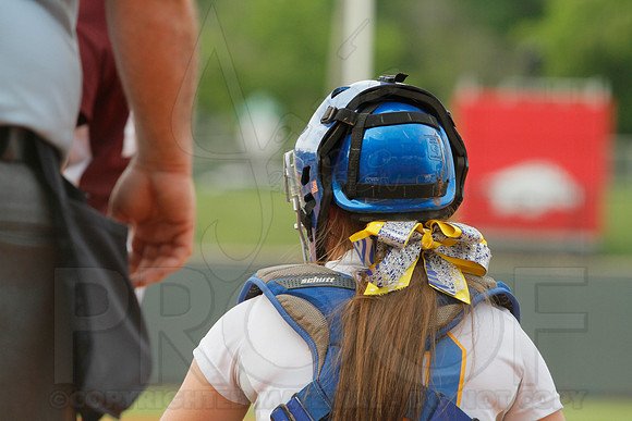 6A State Softball Finals Sheridan vs. Benton 5-23-2014 (© Justin Manning) JWM_0343