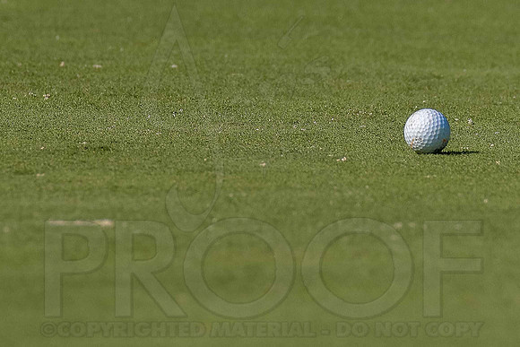 Cortez Golf Course (Hot Springs Village) 8-14-12 162(Justin Manning)