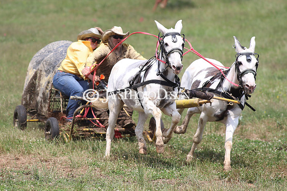 Whiskey Ridge Ranch (Chuckwagon Races) 5-25-24_JWM_0840