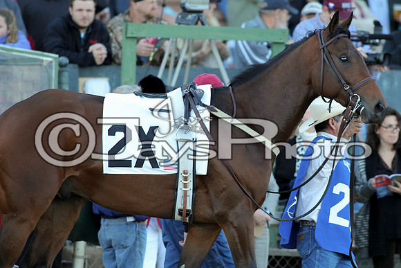 JWM_160215-southwest_0315-2