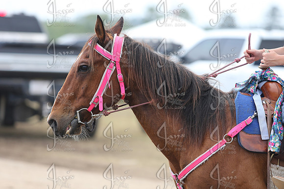 Whiskey Ridge Ranch (Chuckwagon Races) 5-25-25_JWM_1173