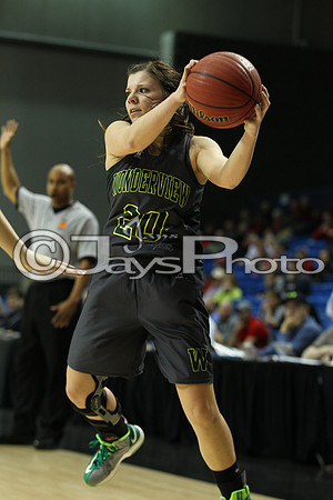 Nemo Vista vs. Wonderview 1A Girls State Finals 3-12-2015 (©Justin Manning) JWM_345