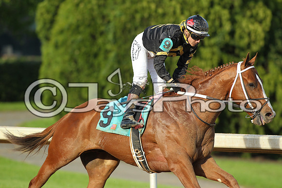 JWM_170318_RebelStakes_00562