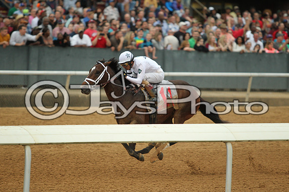 Southwest Stakes (GradeIII) 2-20-17_JWM00917