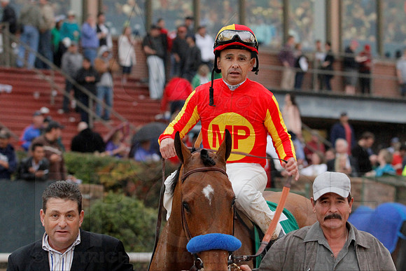 Rebel Stakes 3-15-14 3-15-2014 (© Justin Manning) JWM_0446
