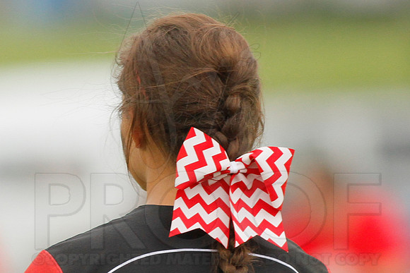 Rose Bud vs. Harmony Grove Regional Softball 5-9-2014 (© Justin Manning) JWM_0308
