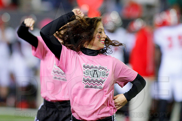 Louisiana Lafayette @ Arkansas State 10-22-13 (© Justin Manning) JWM0500