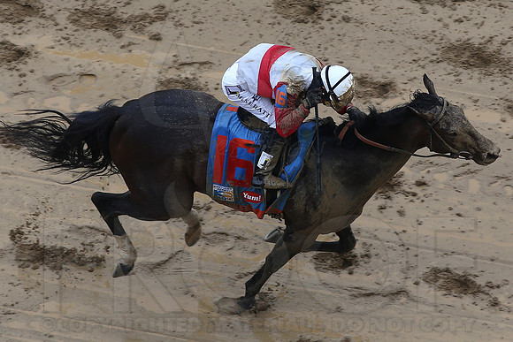 139th Running of the Kentucky Derby 2013 5-4-13 (© Justin Manning) JWM0657