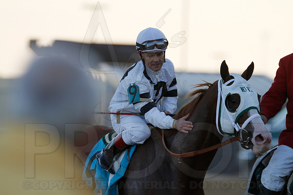 Oaklawn 1-21-13 (Smarty Jones Stakes) (Justin Manning)0236