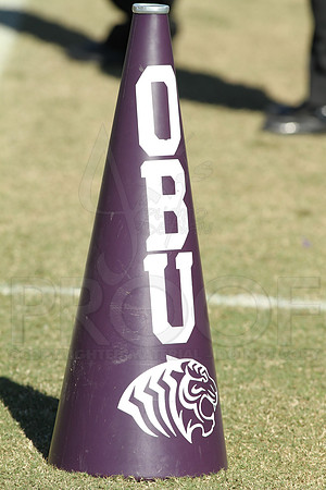 Southern Arkansas University @ Ouachita Baptist University 11-1-2014 (©Justin Manning) JWM_414