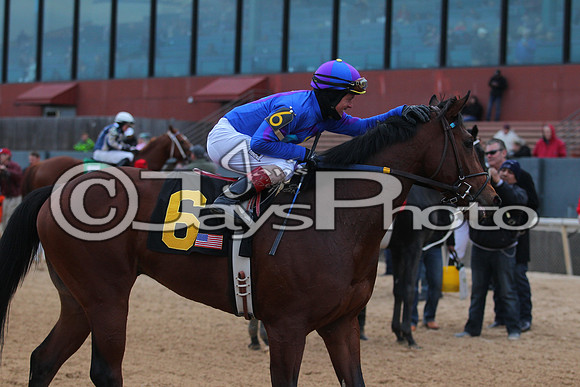 Oaklawn Smarty Jones Stakes 1-18-2016 (©Justin Manning) JWM_(0519
